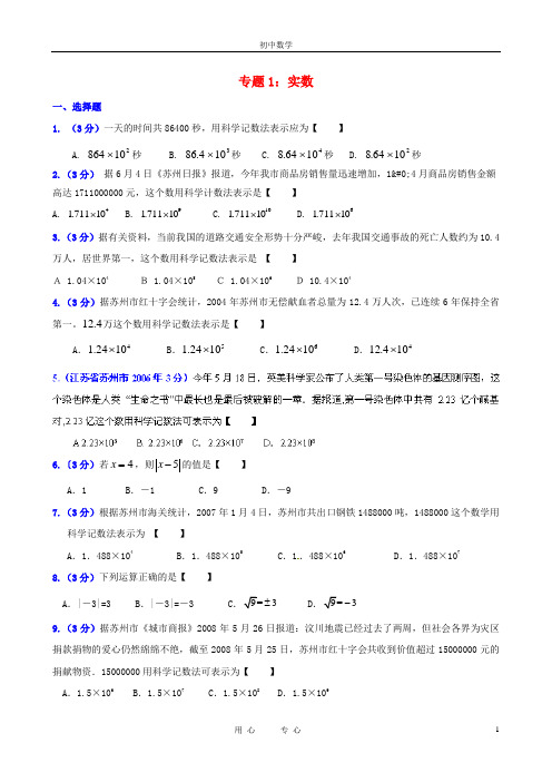 初中数学 专题1_实数