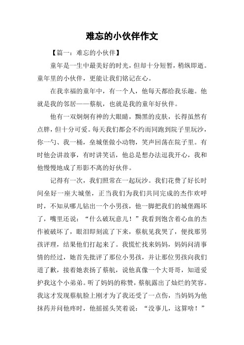 难忘的小伙伴作文