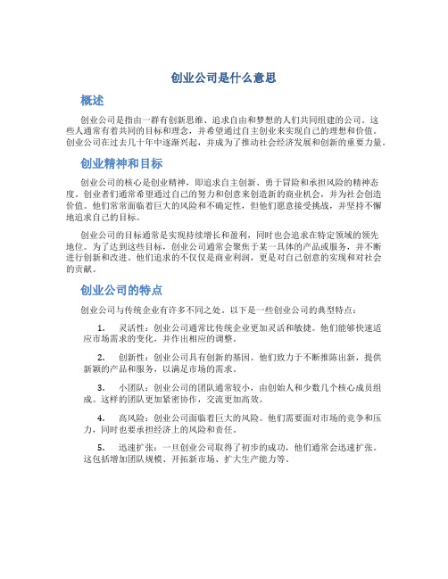 创业公司是什么意思