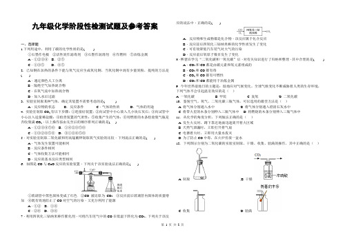 九年级化学阶段性检测试题及参考答案