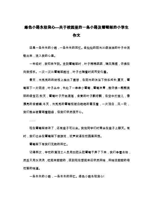 绿色小路永驻我心—关于校园里的一条小路及葡萄架的小学生作文_五年级散文