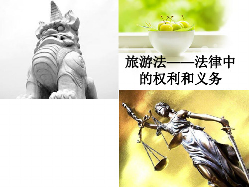 旅游法——法律中的权利和义务
