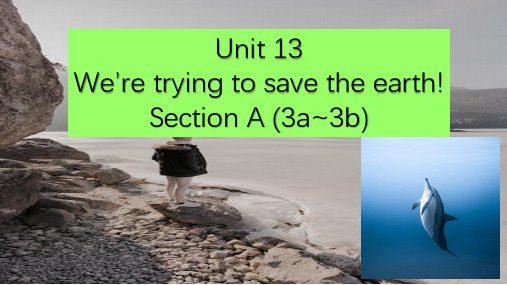 Unit13SectionA3a3b课件人教版九年级英语全册