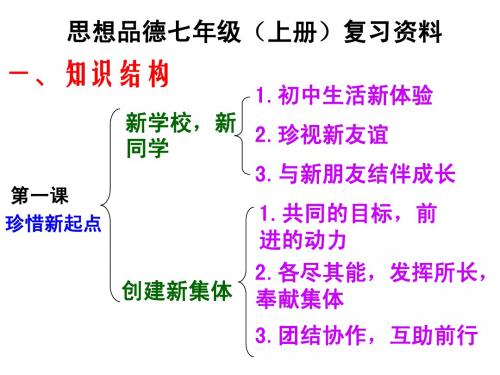 七年级政治上册复习课件