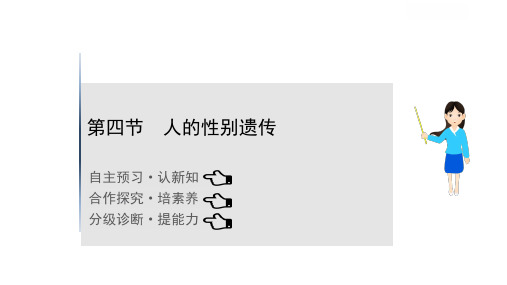 【人教版】21版生物《初中金榜学案》八下7.2.4