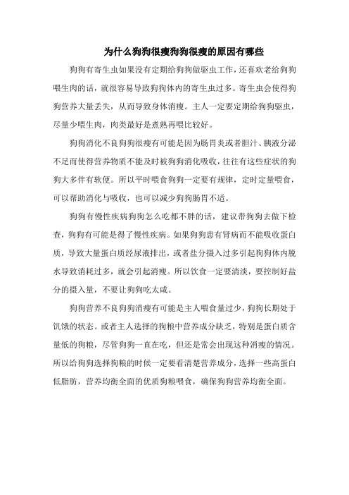 为什么狗狗很瘦狗狗很瘦的原因有哪些