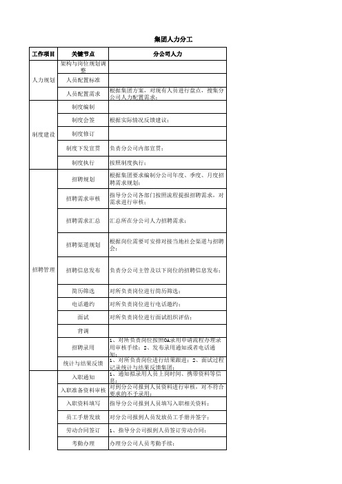 集团与分公司人力分工