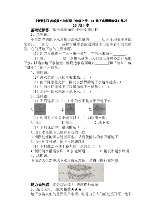 【新教材】苏教版小学科学三年级上册：13 地下水课课练课时练习(含答案解析)