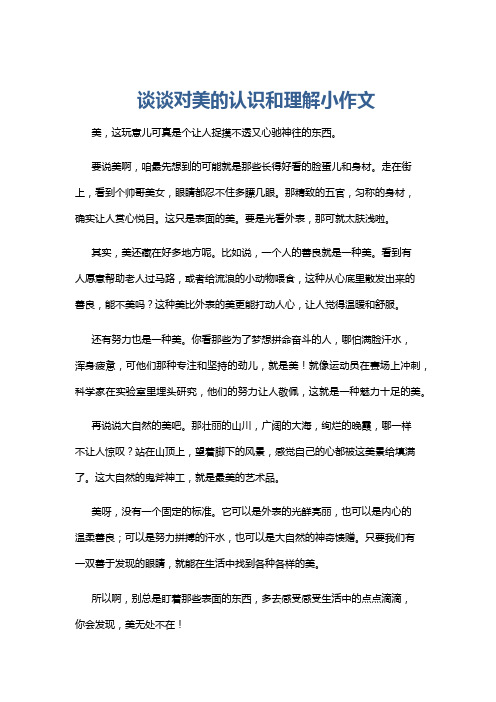 谈谈对美的认识和理解小作文