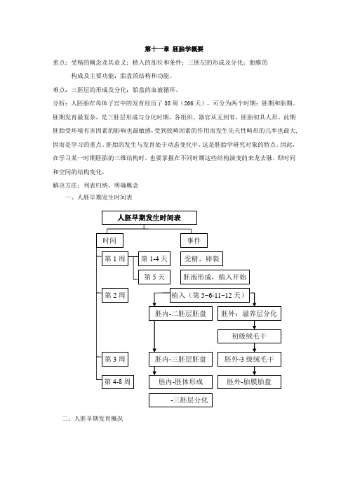 人体胚胎发生总论