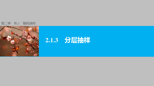 高中数学必修三 2.1.3分层抽样  教学课件PPT