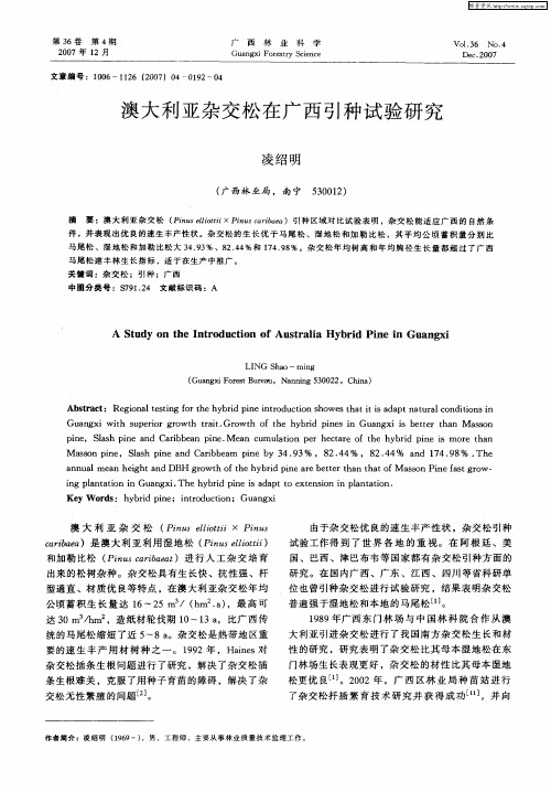 澳大利亚杂交松在广西引种试验研究