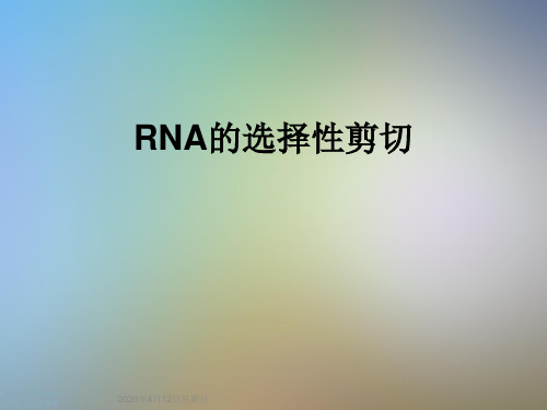 RNA的选择性剪切