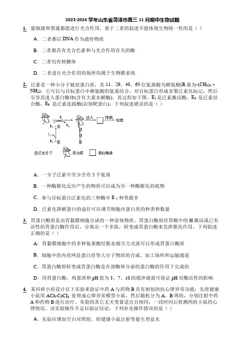 2023-2024学年山东省菏泽市高三11月期中生物试题