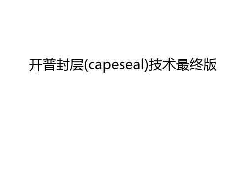 开普封层(capeseal)技术最终版资料