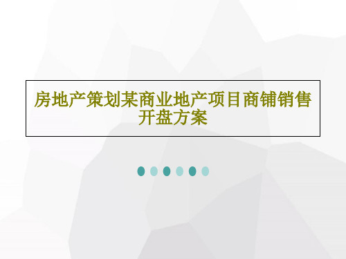 房地产策划某商业地产项目商铺销售开盘方案共47页