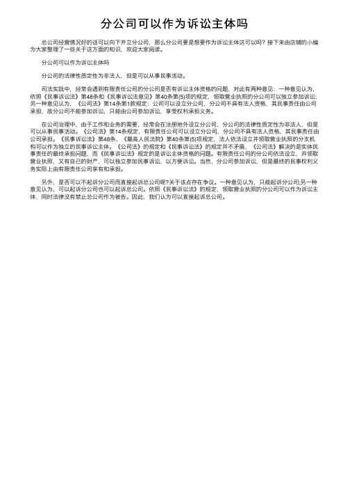 分公司可以作为诉讼主体吗