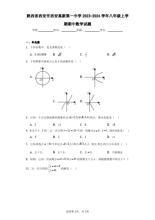 陕西省西安市西安高新第一中学2023-2024学年八年级上学期期中数学试题