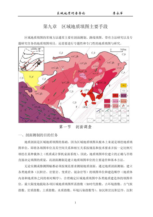 区域地质填图主要手段