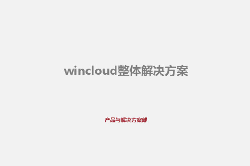 wincloud整体解决方案-销售版