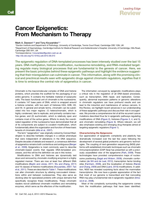 Cancer Epigenetics From Mechanism to Therapy