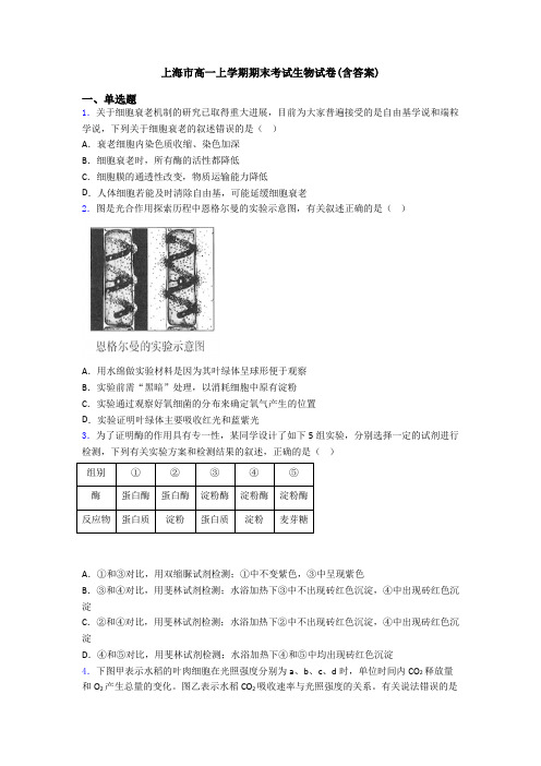 上海市高一上学期期末考试生物试卷(含答案)