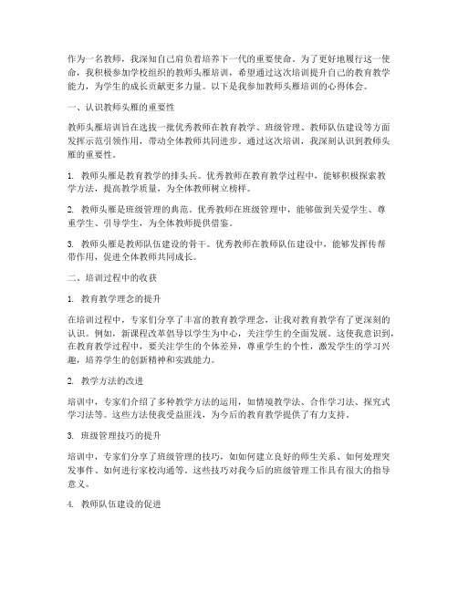 教师头雁培训心得体会