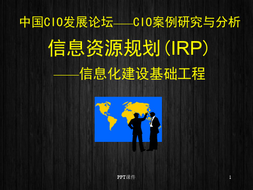 信息资源规划(IRP)  ppt课件