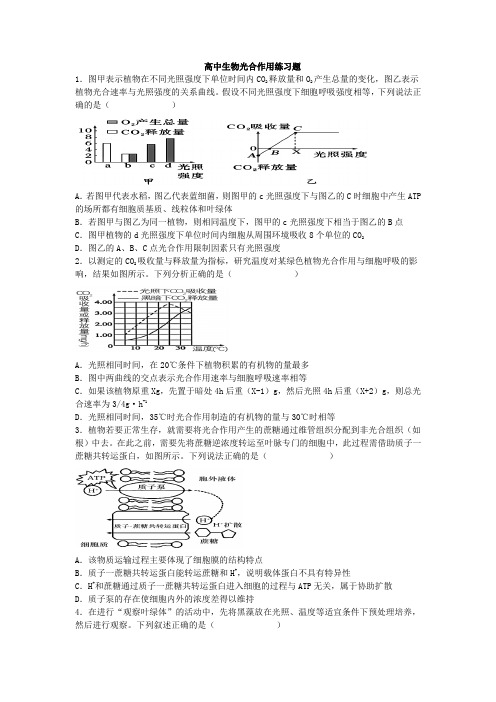 高中生物光合作用练习题