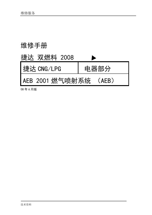 AEB 2001燃气喷射系统维修手册