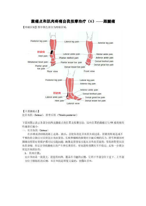 激痛点和肌肉疼痛自我按摩治疗(6)——跟腱痛