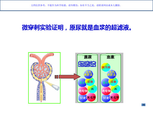 肾小球的滤过功能课件