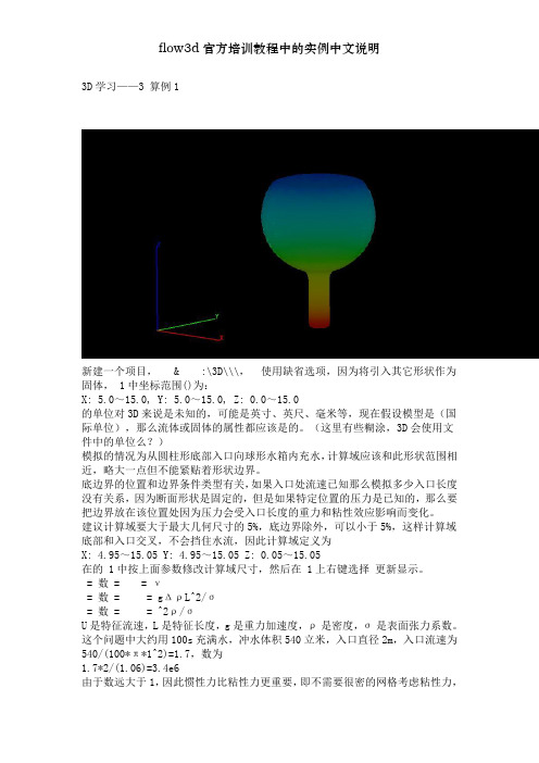 flow3d官方培训教程中的实例中文说明