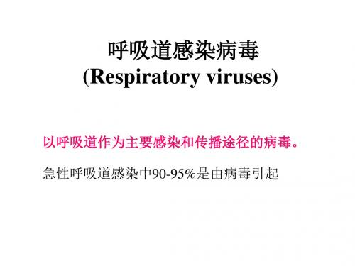 呼吸道感染病毒Respiratoryviruses-医学资料