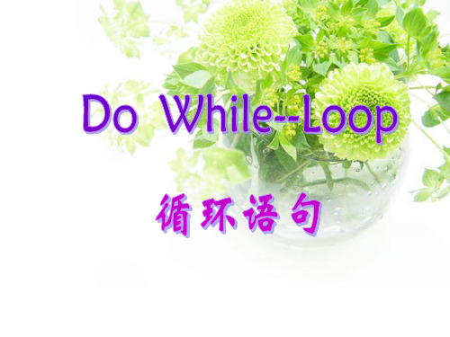 (完整版)DO-While--Loop循环语句