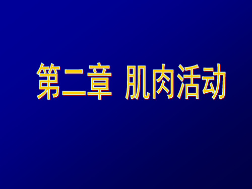 运动生理学2第二章 肌肉活动