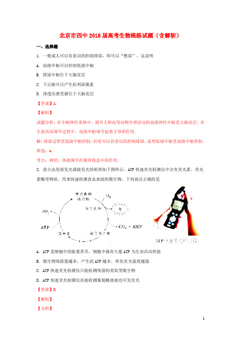 北京市四中高考生物统练试题(含解析)