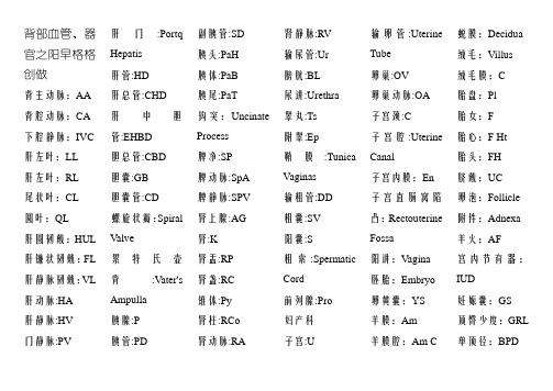 超声常用名词缩写