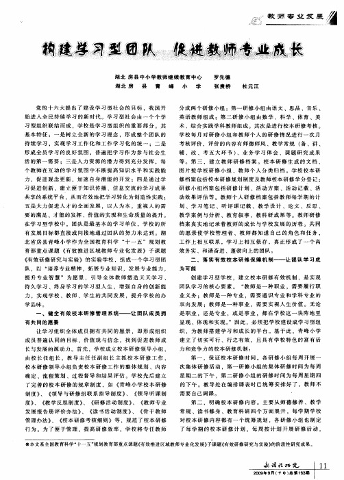 构建学习型团队 促进教师专业成长