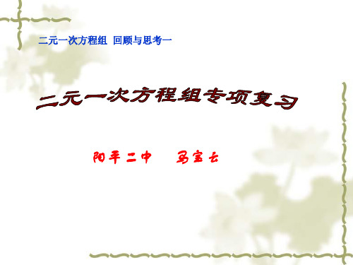 (完整版)《二元一次方程组》专题复习课件