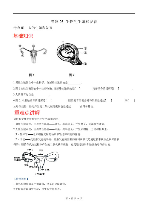 【北师大】专题03 生物的生殖和发育-考点梳理+强化训练(北师大版)(原卷版)