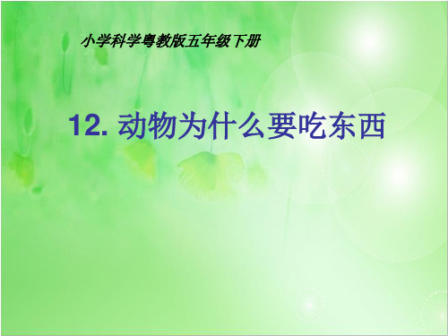 2020-2021学年粤教版小学科学五年级下《动物为什么要吃东西》优美精品课件4份,共91页