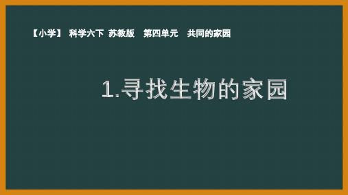 苏教版六年级下册第四单元第1课《寻找生物的家园》优秀PPT课件