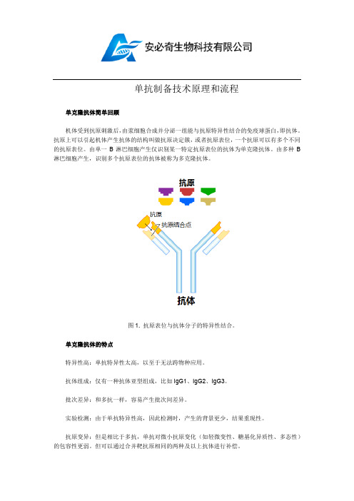 单抗制备流程