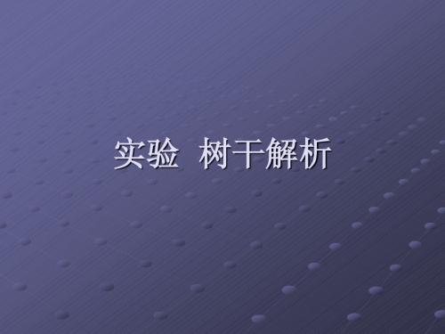 实验十  树干解析