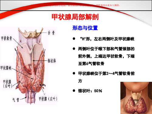 甲状腺部分切除术手术配合课件