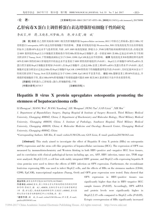 乙肝病毒X蛋白上调骨桥蛋白表达增强肝癌细胞干性的研究