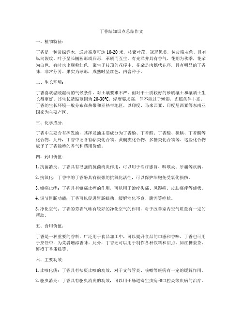 丁香结知识点总结作文