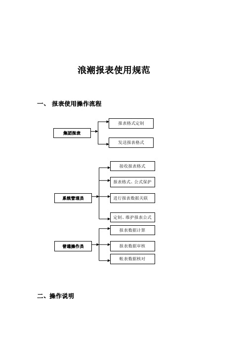 浪潮报表使用规范概述