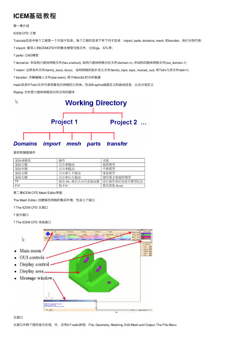 ICEM基础教程